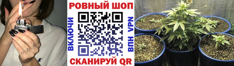 Все наркотики Багратионовск БУТИРАТ APVP Бошки Шишки Амфетамин ГАШ КОКАИН
