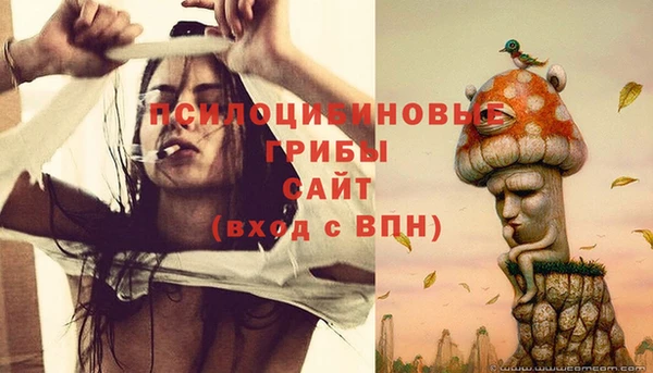 прущие крисы Армянск